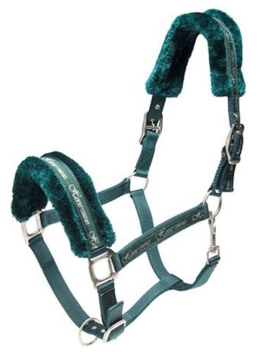 Halter Teddy Horse Comfort