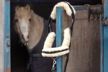Stable equipment