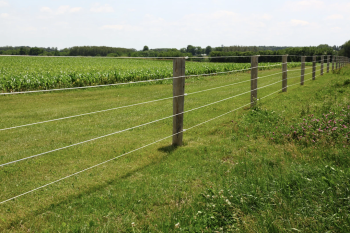 Electric fencing