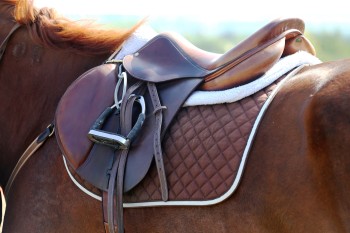 Saddle pads