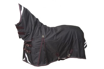 300-390g turnout rugs