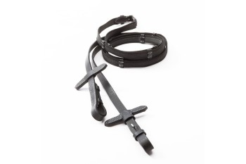 Reins