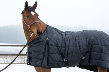 Stable rugs