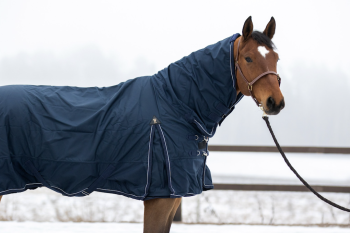 Turnout rugs