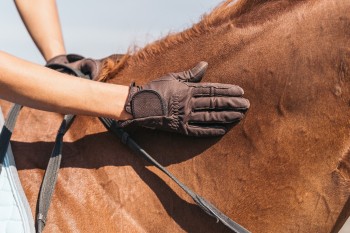 Riding gloves