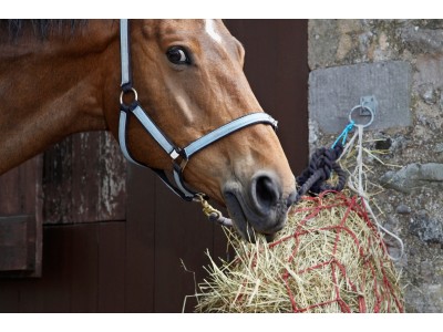 How to Consume Hay Sustainably?