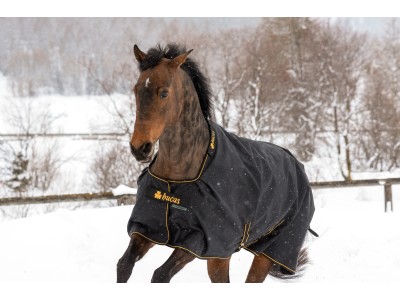 Which Bucas Horse Rug Should You Choose?
